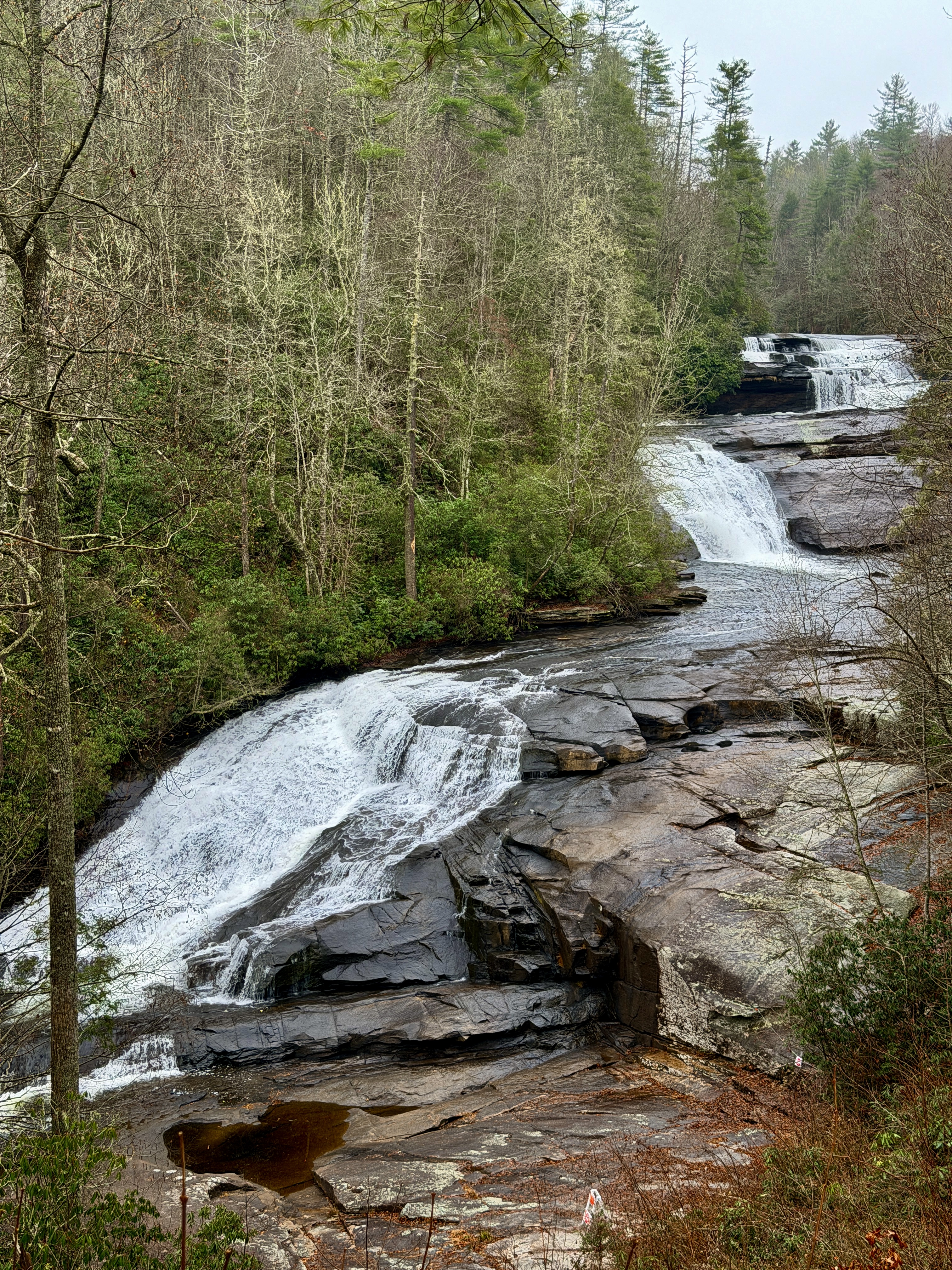 Triple Falls Trail (DuPont)