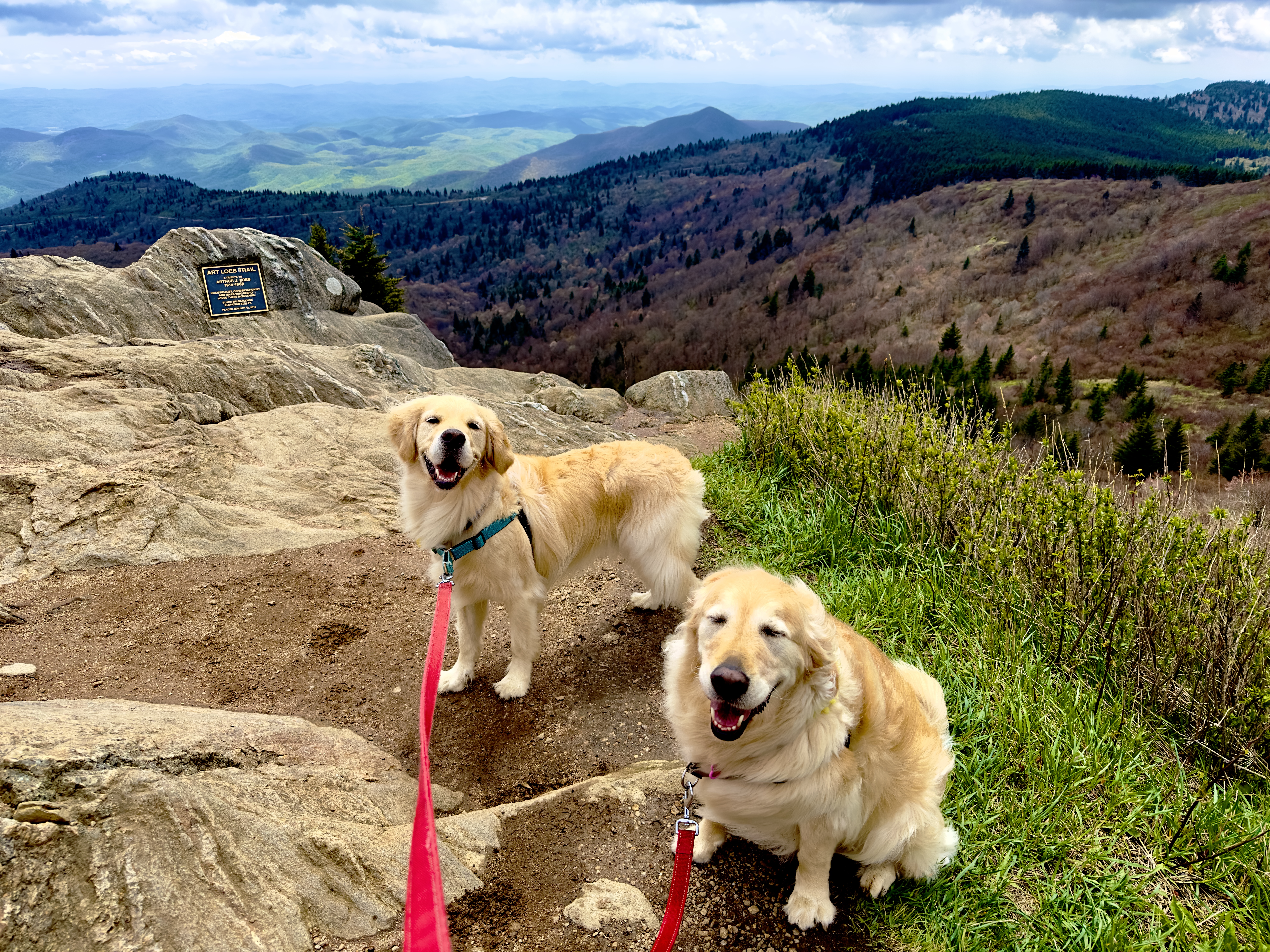 Black Balsam Knob via Art Loeb