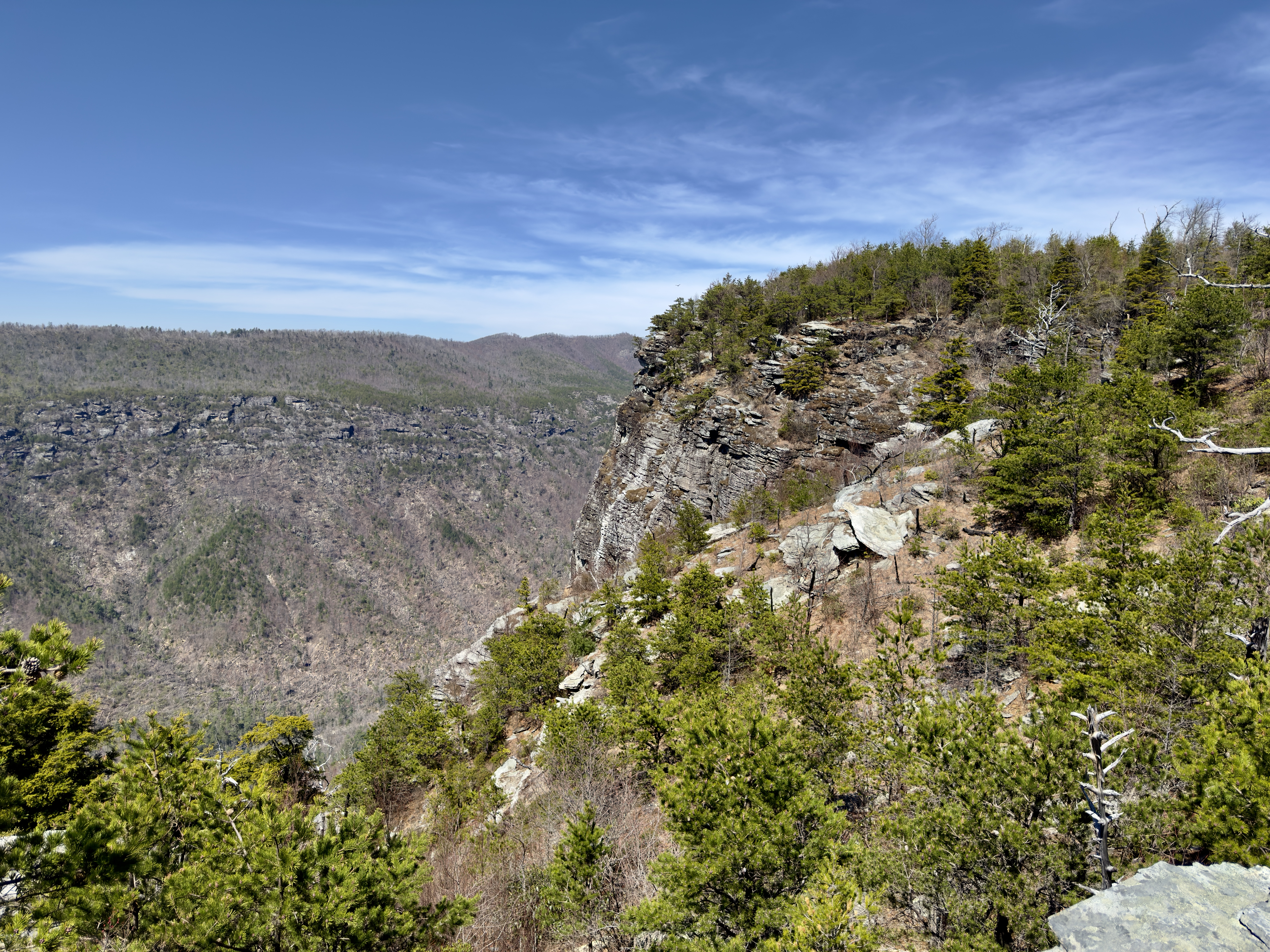 Shortoff Mountain Trail