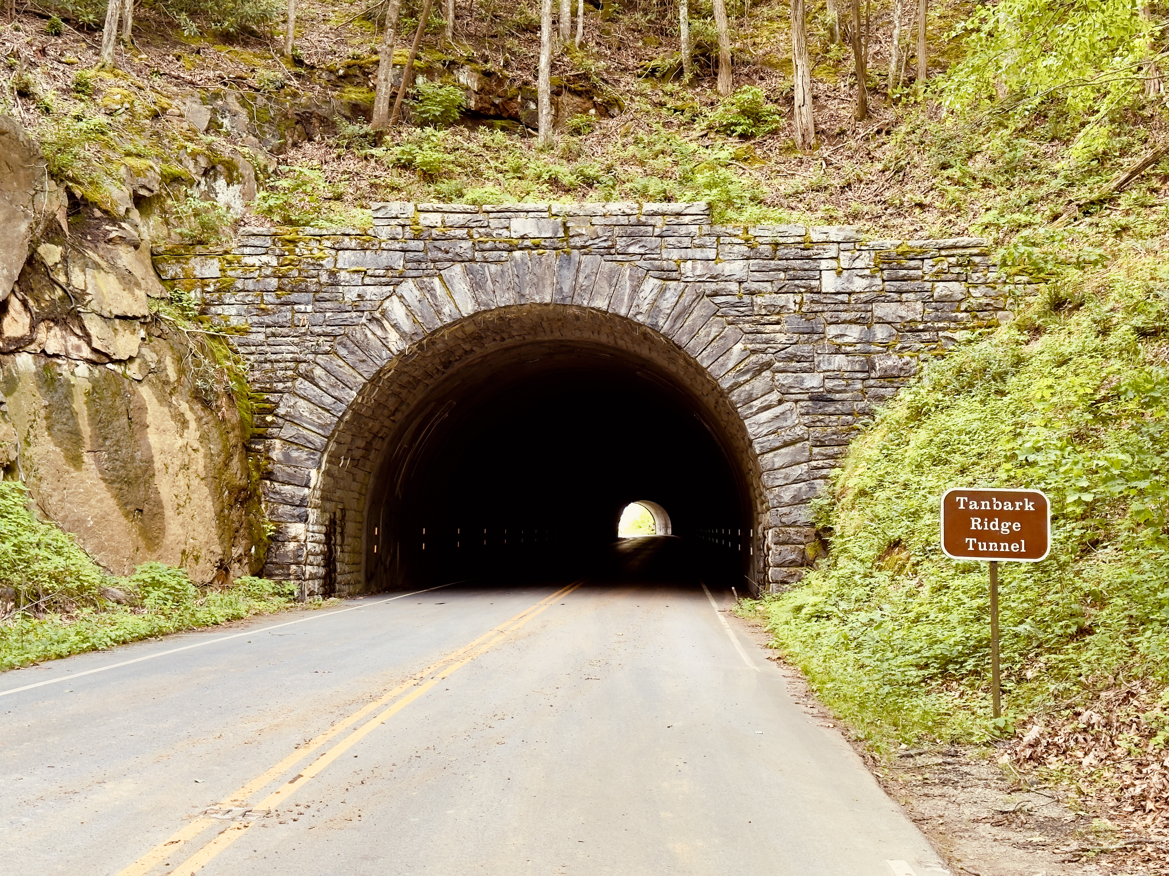 Tanbark Ridge Tunnel Trail
