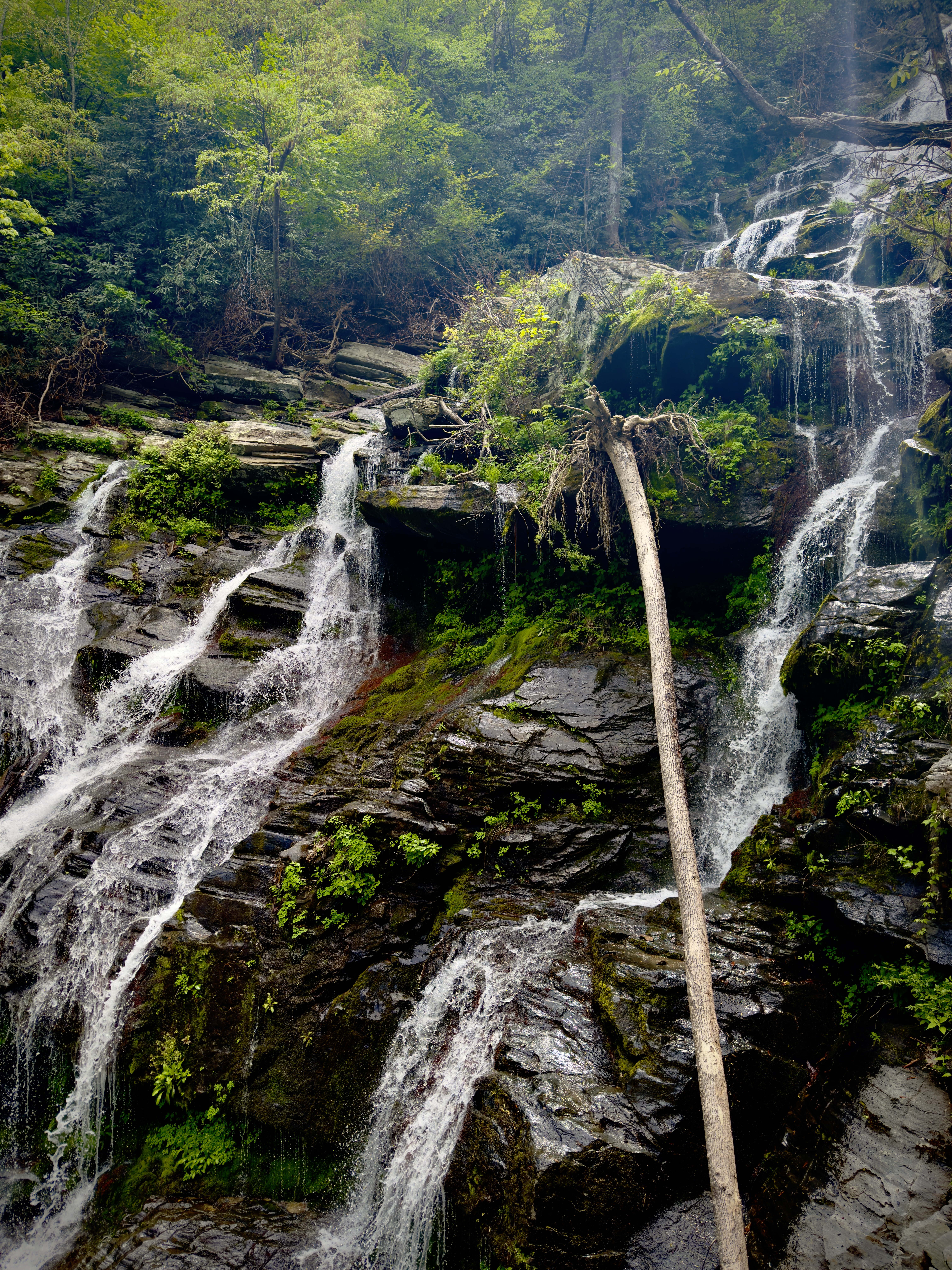 Catawba Falls