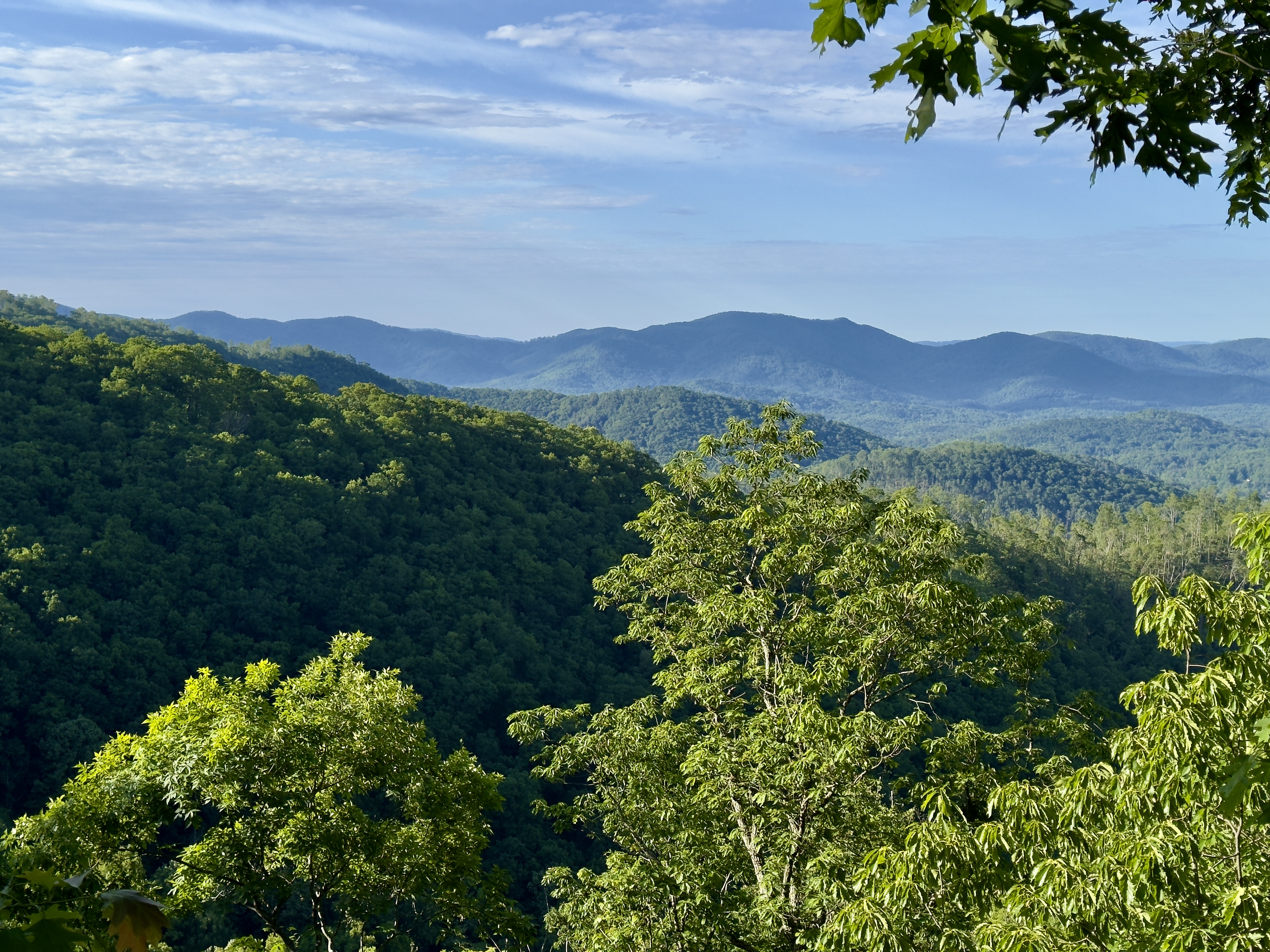 Rattlesnake Lodge Trail