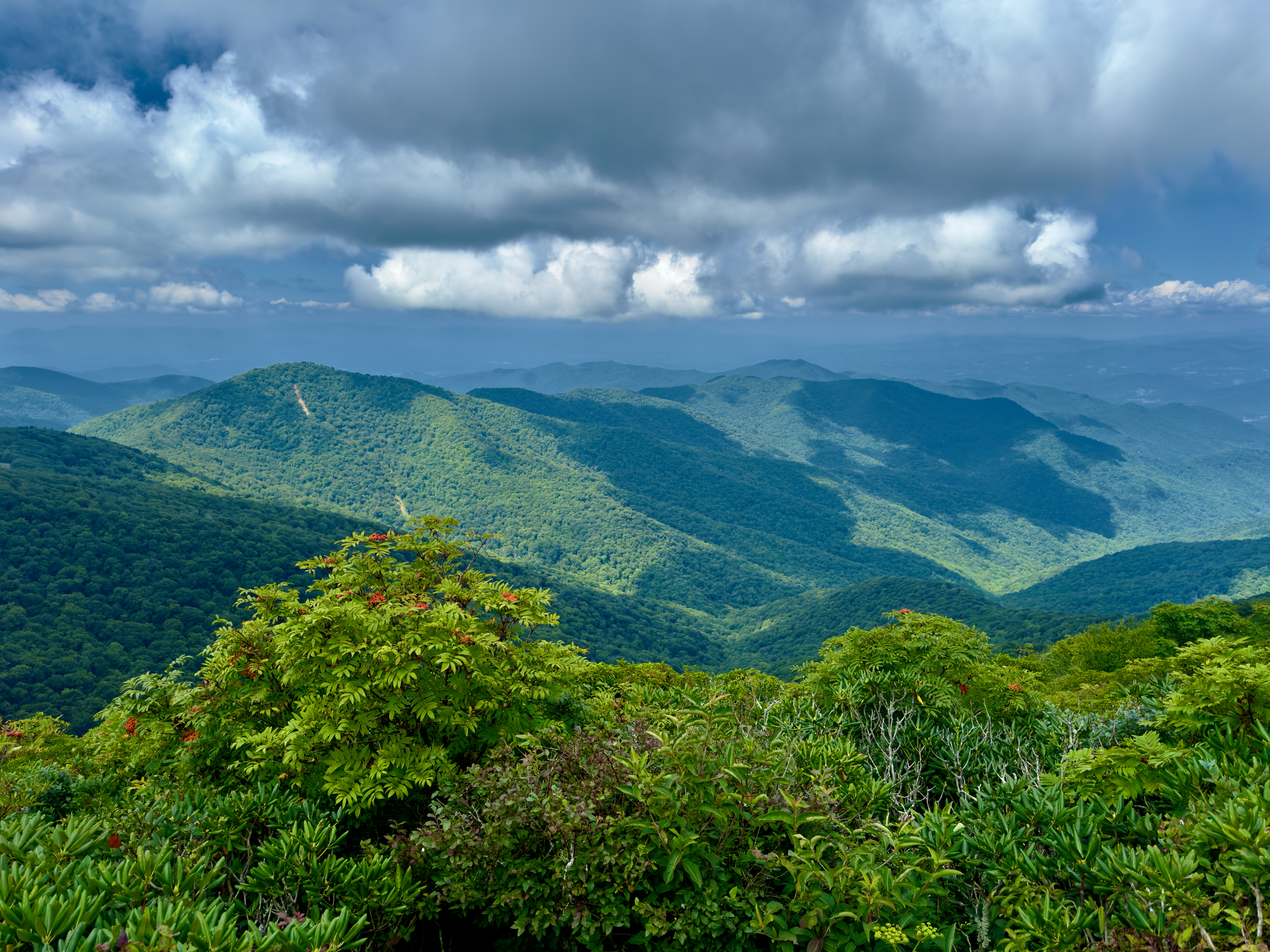 Craggy Pinnacle Trail