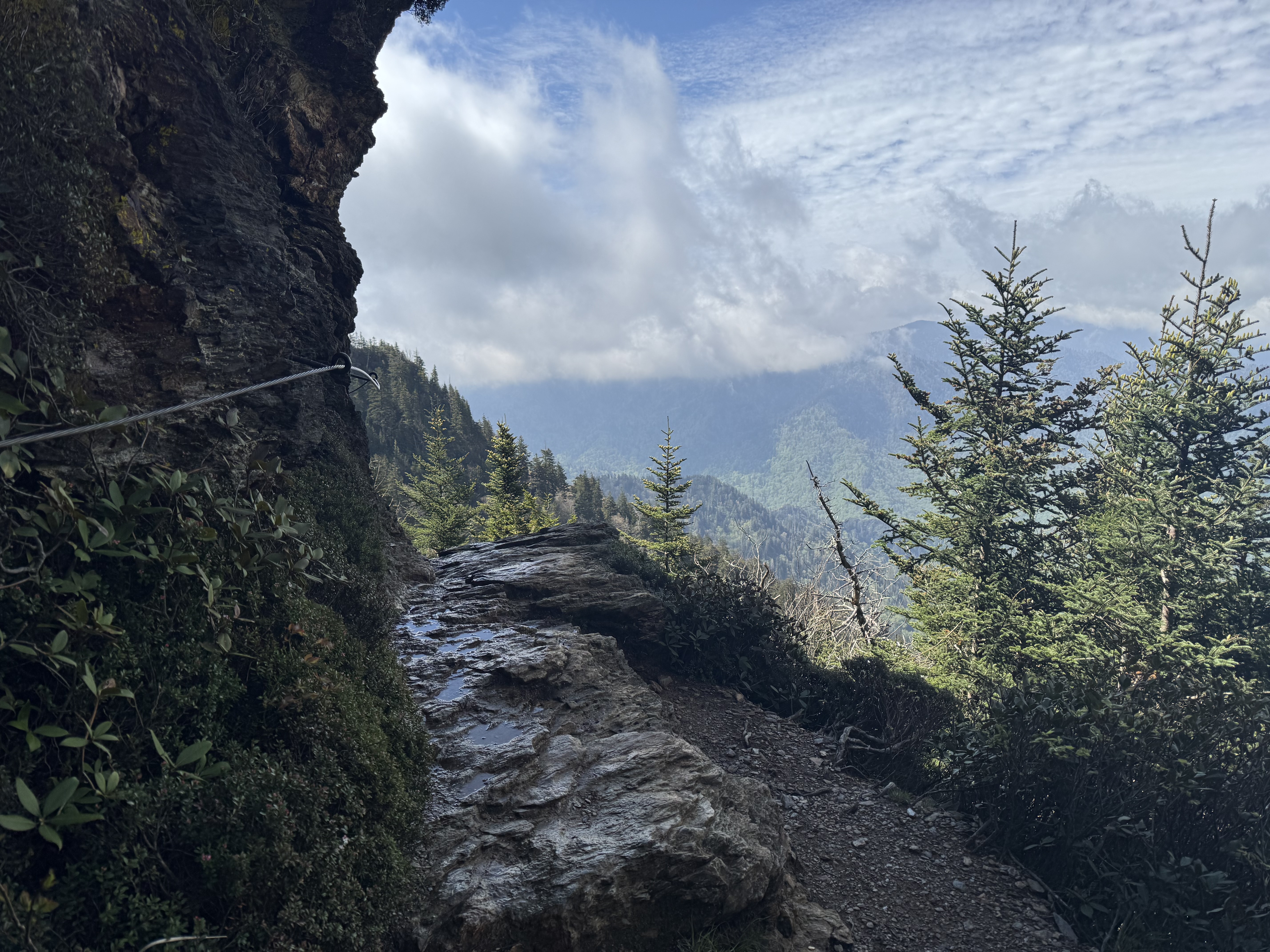 Alum Cave Trail to Mt LeConte