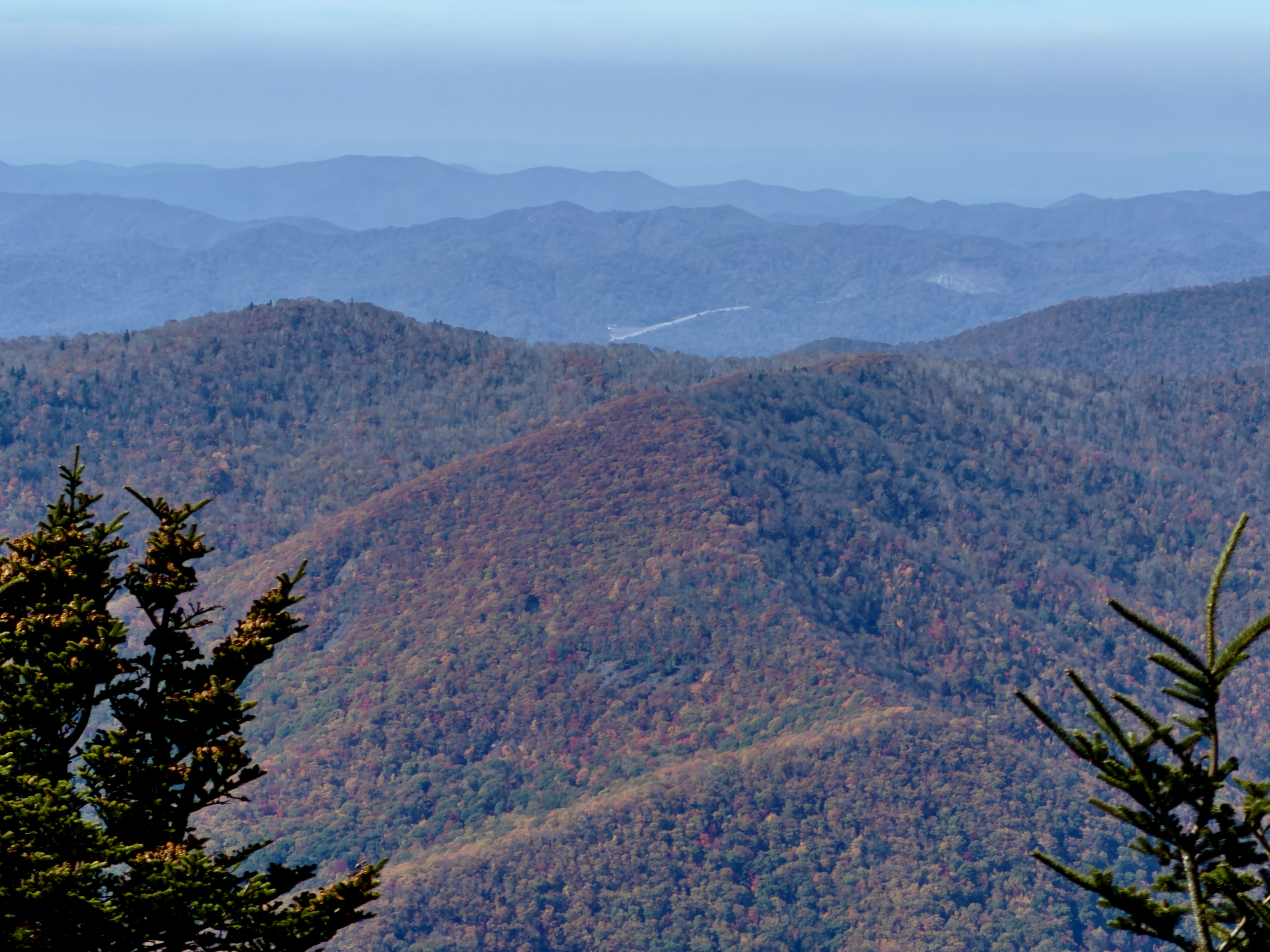 Black Mountain Trail to Mount Mitchell